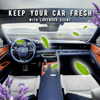Multi-purpose Car Cleaner