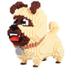 CJD - dawg
