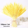 Dried Pampas Grass Decoration Set