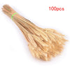 Dried Pampas Grass Decoration Set