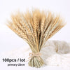 Dried Pampas Grass Decoration Set