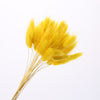 Dried Pampas Grass Decoration Set