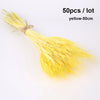 Dried Pampas Grass Decoration Set