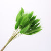 Dried Pampas Grass Decoration Set