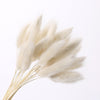 Dried Pampas Grass Decoration Set