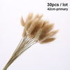 Dried Pampas Grass Decoration Set