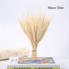 Dried Pampas Grass Decoration Set
