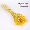 Dried Pampas Grass Decoration Set