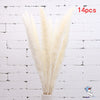 Dried Pampas Grass Decoration Set