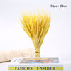 Dried Pampas Grass Decoration Set