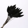 Dried Pampas Grass Decoration Set