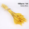 Dried Pampas Grass Decoration Set