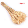Dried Pampas Grass Decoration Set