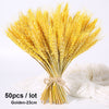 Dried Pampas Grass Decoration Set