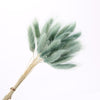 Dried Pampas Grass Decoration Set