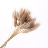 Dried Pampas Grass Decoration Set