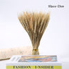 Dried Pampas Grass Decoration Set