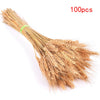 Dried Pampas Grass Decoration Set