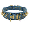 Spiked Dog Collar