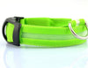 staff - USB Charging Led Dog Collar An