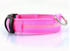 staff - USB Charging Led Dog Collar An