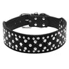 Spiked Dog Collar