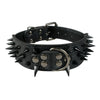 Spiked Dog Collar