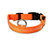 staff - USB Charging Led Dog Collar An