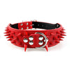 Spiked Dog Collar