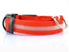 staff - USB Charging Led Dog Collar An