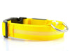 staff - USB Charging Led Dog Collar An