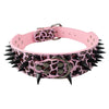 Spiked Dog Collar