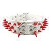 Spiked Dog Collar