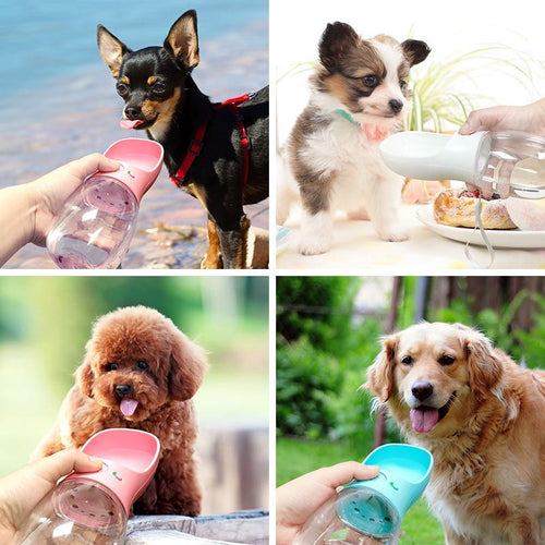 all warehouses - Portable Dog Water Bottle