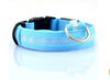 staff - USB Charging Led Dog Collar An