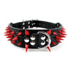 Spiked Dog Collar