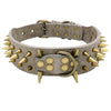 Spiked Dog Collar