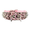 Spiked Dog Collar