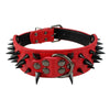 Spiked Dog Collar