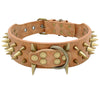 Spiked Dog Collar