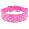Spiked Dog Collar