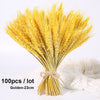 Dried Pampas Grass Decoration Set