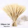 Dried Pampas Grass Decoration Set