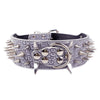 Spiked Dog Collar