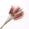 Dried Pampas Grass Decoration Set