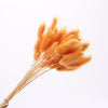 Dried Pampas Grass Decoration Set