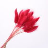 Dried Pampas Grass Decoration Set