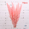 Dried Pampas Grass Decoration Set