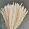 Dried Pampas Grass Decoration Set