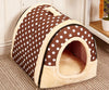 Dog House Special